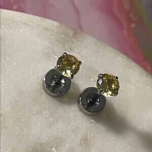 Stud Earrings stainless steel 20g screw back 4mm